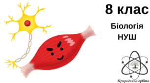Тканини організму людини 