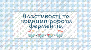 Презентація 9 клас НУШ "Властивості та принцип роботи ферментів."