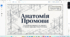 Промова. Елокуція й елоквенція як учення про мовну форму промов. Меморія як система усного запам’ятовування промов.
