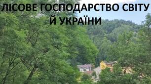Презентація до уроку: "ЛІСОВЕ ГОСПОДАРСТВО СВІТУ Й УКРАЇНИ"