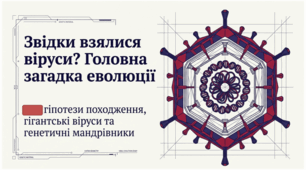 11. Гіпотези походження вірусів. Роль вірусів в еволюції органічного світу