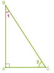 Taisnl_ip1.png