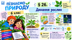 Дихання рослин. Презентація, інфографіка, робочий аркуш