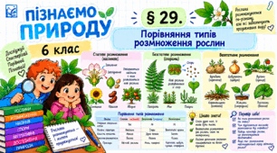 Порівняння типів розмноження рослин. Презентація, інфографіка, робочий аркуш