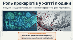 Роль прокаріотів у житті людини