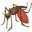 🦟