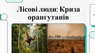 Всесвітній день орангутанга