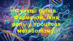 9 клас. НУШ. Біологія. Презентація до уроку: Функції білків. Ферменти, їхня роль у процесах метаболізму.