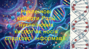 9 клас. НУШ. Біологія. Презентація до уроку: Нуклеїнові кислоти. Роль нуклеїнових кислот як носія спадкової інформації.