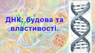9 клас. НУШ. Біологія. Презентація до уроку: ДНК: будова та властивості.