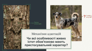 Презентація "Механізми адаптацій" 11 клас (проф)