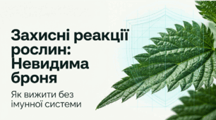 Презентація "Захисні реакції в організмі рослин" 11 клас (проф)