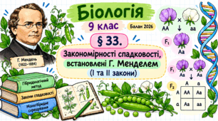 Закономірності спадковості, встановлені Г. Менделем (І та ІІ закони). Презентація, інфографіка, робочий аркуш