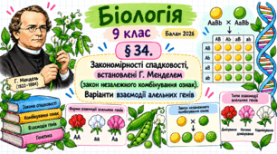 Закономірності спадковості, встановлені Г. Менделем (закон незалежного комбінування ознак). Варіанти взаємодії алельних генів. Презентація, інфографіка, робочий аркуш