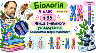 Явище зчепленого успадкування. Хромосомна теорія спадковості. Презентація, інфографіка, робочий аркуш