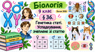 Генетика статі. Успадкування, зчеплене зі статтю. Презентація, інфографіка, робочий аркуш