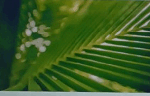 1100b0tl-a2f4-304x195.png