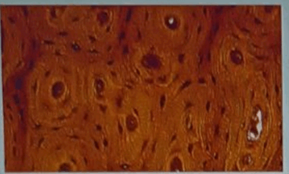 1100b0tu-8e95-421x254.png