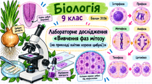Лабораторне дослідження «Вивчення фаз мітозу (на прикладі клітин кореня цибулі)».