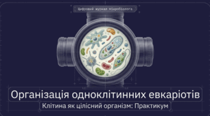 Особливості організації клітин одноклітинних евкаріотів