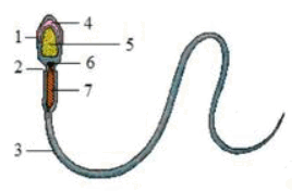 1100b117-868f-278x176.png