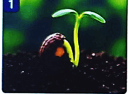 1100b11r-0fd3-260x190.png