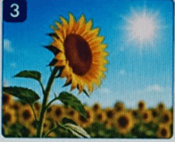 1100b11x-bb40-196x159.png