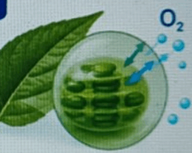 1100b140-e278-389x311.png