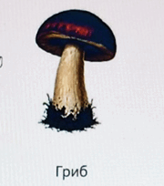 1100b18j-2889-180x204.png