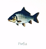 1100b18q-fd5e-195x209.png