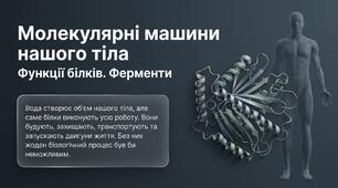 Функції білків. Ферменти 9 клас НУШ