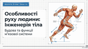 Особливості руху людини. Будова та функції м’язової системи