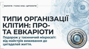 Які є типи організації клітин