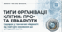 Які є типи організації клітин