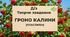 Гроно калини. (творче д/з)
