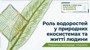 Роль водоростей у природних екосистемах та житті людини