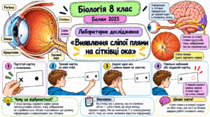 Лабораторне дослідження «Виявлення сліпої плями на сітківці ока»