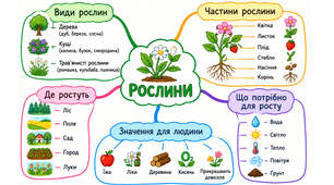 Інтелект-карта «Рослини»