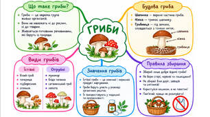 Інтелект-карта «Гриби»