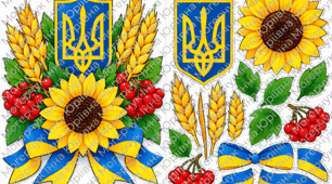 🇺🇦 «Козацький оберіг» — яскрава аплікація до Дня українського козацтва! 🛡️🌻