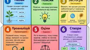 Дидактичні кубики Блума "Вищі спорові рослини"