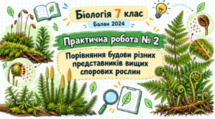 Практична робота № 2 «Порівняння будови різних представників вищих спорових рослин»