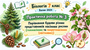 Практична робота № 3 «Порівняння будови різних представників насінних рослин (голонасінних та покритонасінних (квіткових))»