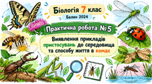 Практична робота № 5 «Виявлення прикладів пристосувань до середовища та способу життя в комах»