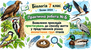 Практична робота № 6 «Виявлення прикладів пристосувань до способу життя у представників різних екологічних груп птахів»