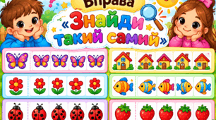 Вправа "Знайди такий самий"
