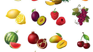Fact or Fiction: Fruit & Vegetable Edition