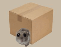 1100bhsk-fb81-125x98.png