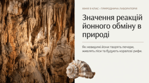 Значення реакцій йонного обміну в природі