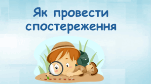 Як провести спостереження